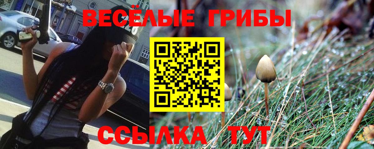 Шебекино  Псилоцибиновые грибы MAGIC MUSHROOMS  Галлюциногенные грибы мухоморы  Вход с VPN 